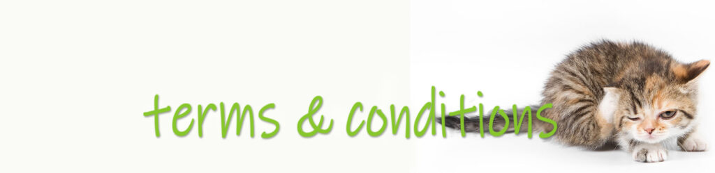 terms Terms & Conditions